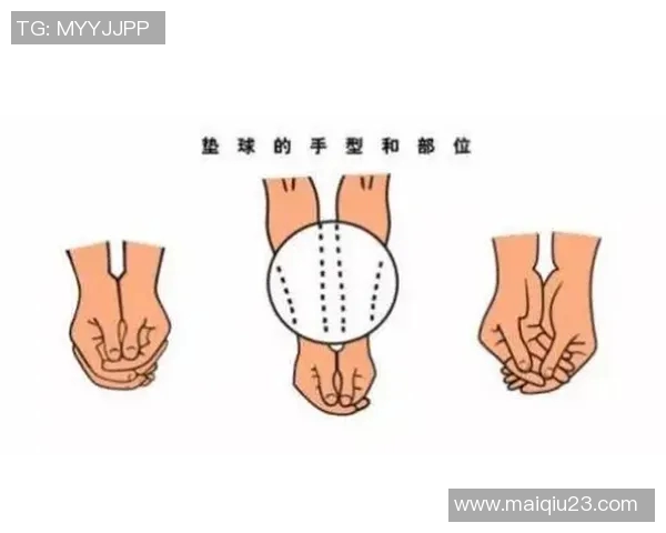 排球新手必看快速入门攻略助你轻松掌握基本技巧与战术 排球新手必看快速入门攻略助你轻松掌握基本技巧与战术