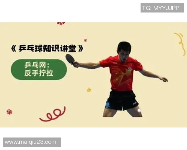 体育实时数据乒乓球新手必看入门攻略轻松掌握技巧与训练方法