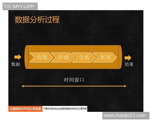 武汉排球队比赛经验深度对比与分析探讨实时数据