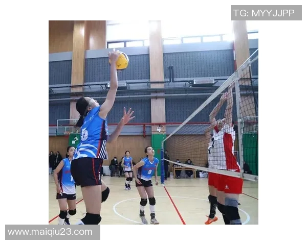 实时新闻科学排球技术训练方法探讨与实践指导全方位提升运动员竞技水平 实时新闻科学排球技术训练方法探讨与实践指导全方位提升运动员竞技水平